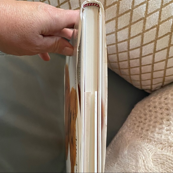 THE TEDDY BEAR ENCYCLOPEDIA Pauline Cockrill - Picture 13 of 14